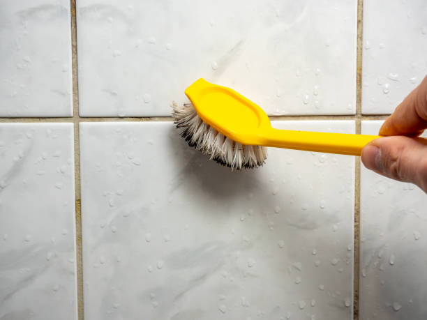 Best Mold Removal and Inspection  in San Rafael, CA