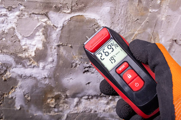  San Rafael, CA Mold Removal Pros