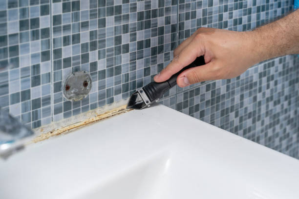 Best Mold Testing  in San Rafael, CA