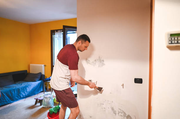 Crawl Space Mold Removal in San Rafael, CA